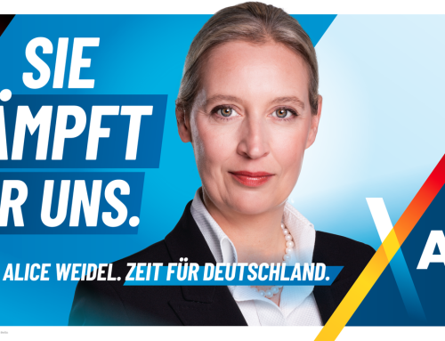 Alice Weidel: Zehn-Punkte-Plan der Merz-Regierung ist der Offenbarungseid einer gescheiterten Migrationspolitik